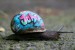 graffiti-snails